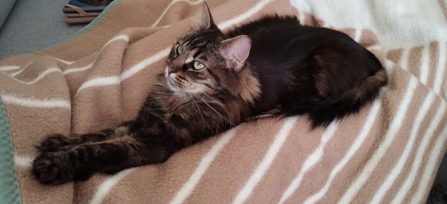 So sieht relaxen aus