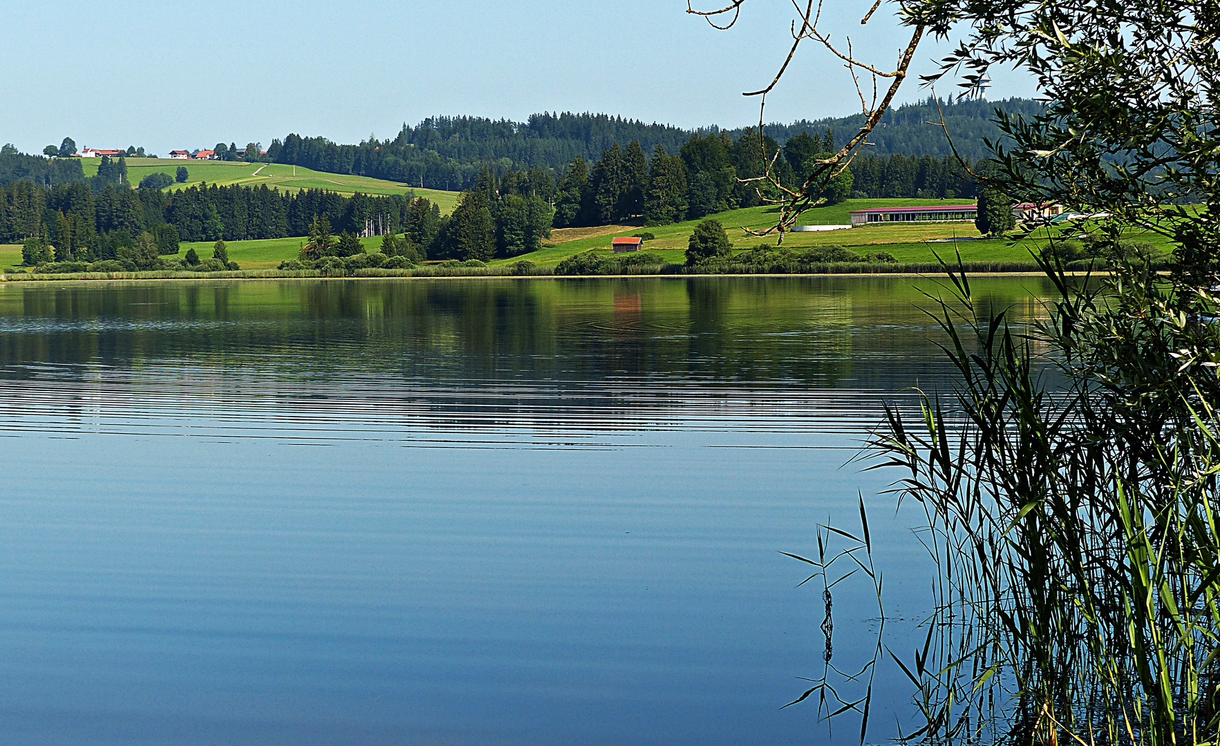 So sieht Sommer aus