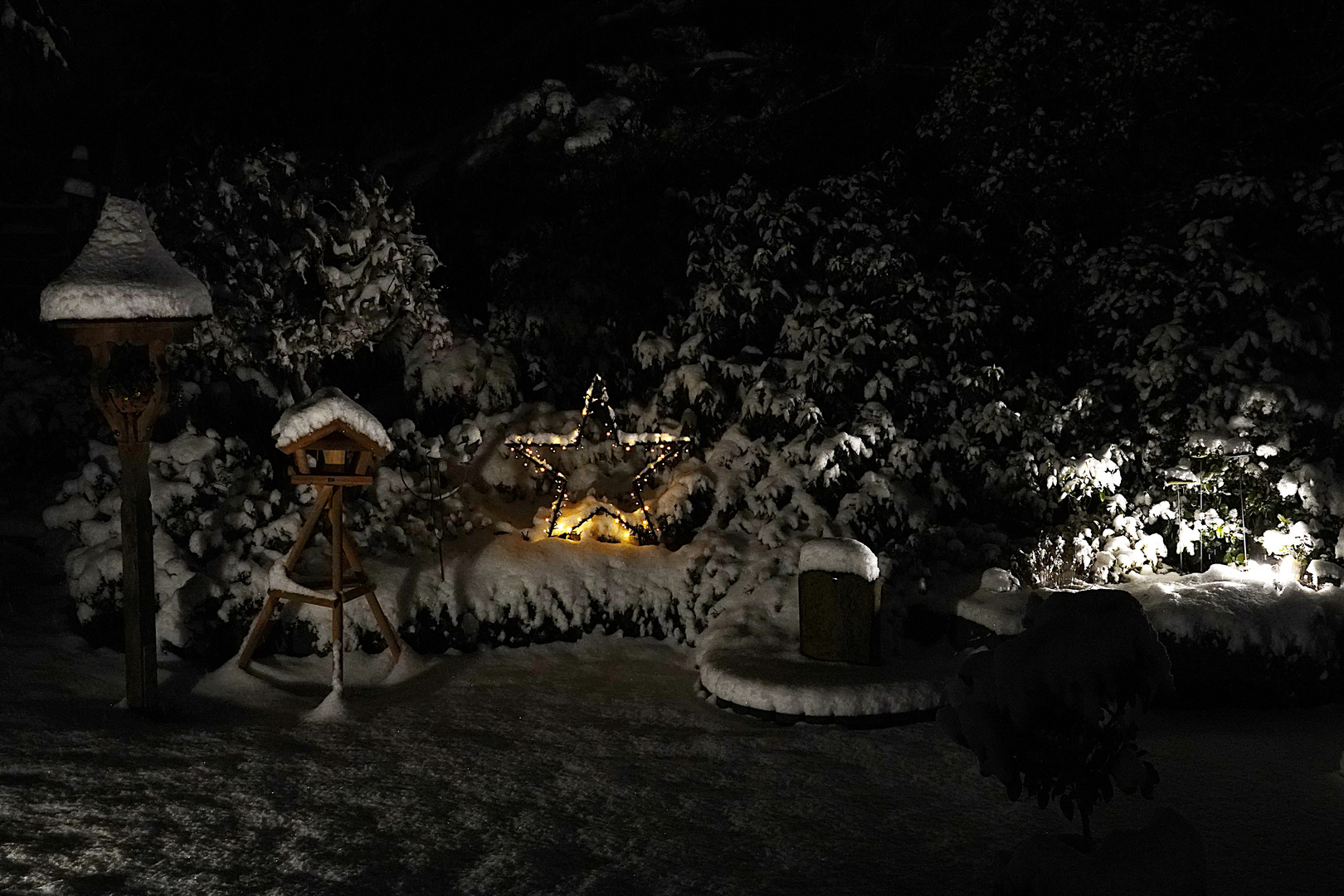 so sieht unser Garten bei Nacht zur Zeit aus Foto & Bild winter