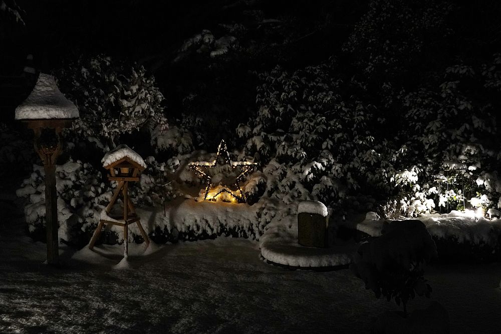 so sieht unser Garten bei Nacht zur Zeit aus Foto & Bild winter