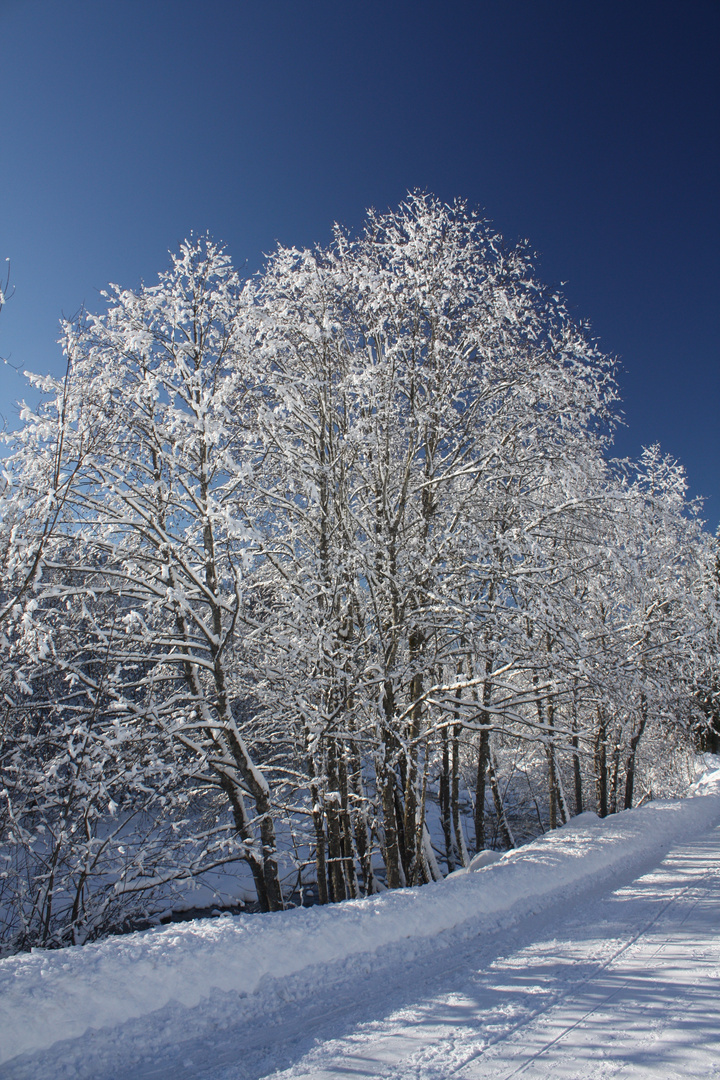 so sieht Winter also aus...