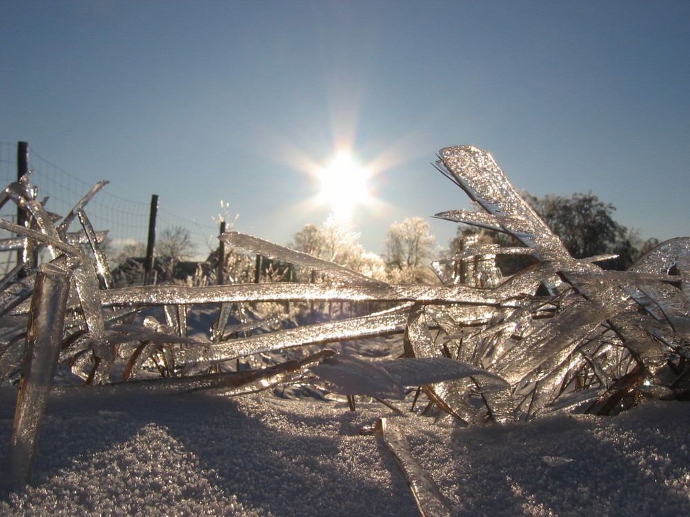 So sieht Winter aus!