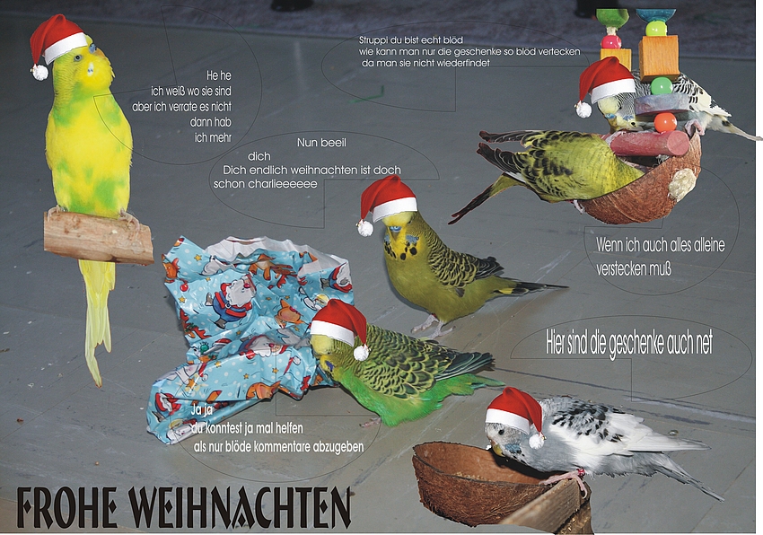 so sind die vorbereitung zum weihnachtsfest bei meine wellis -