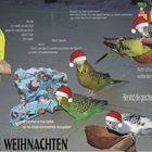 so sind die vorbereitung zum weihnachtsfest bei meine wellis -