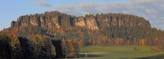 So soll der Pfaffenstein 45-50cm hoch in Herbstfärbung in meinem Wohnzimmer hängen