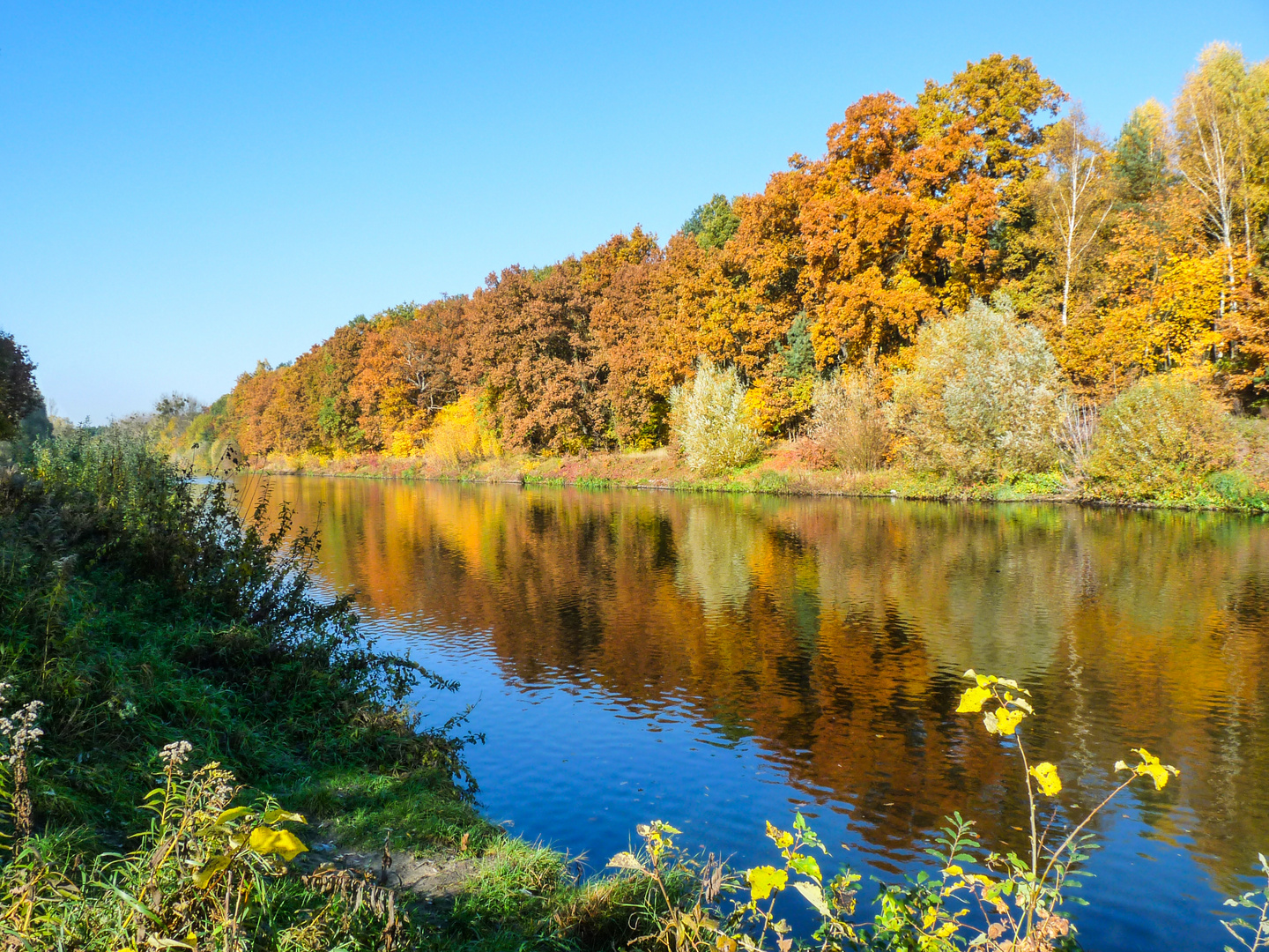 So sollte der Herbst aussehen ...