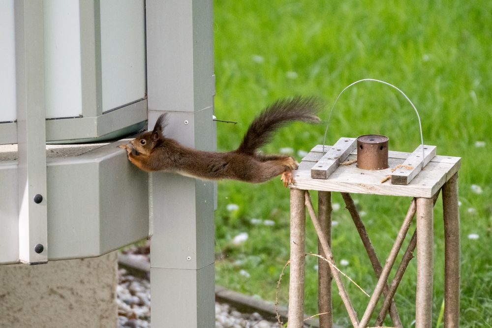 So spioniert man die hübsche Nachbarin aus ;-) ;-)