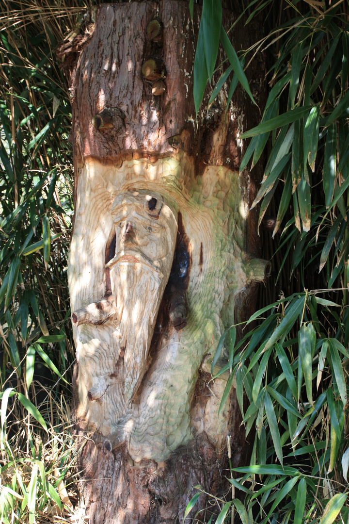 so stand das Männlein im Walde