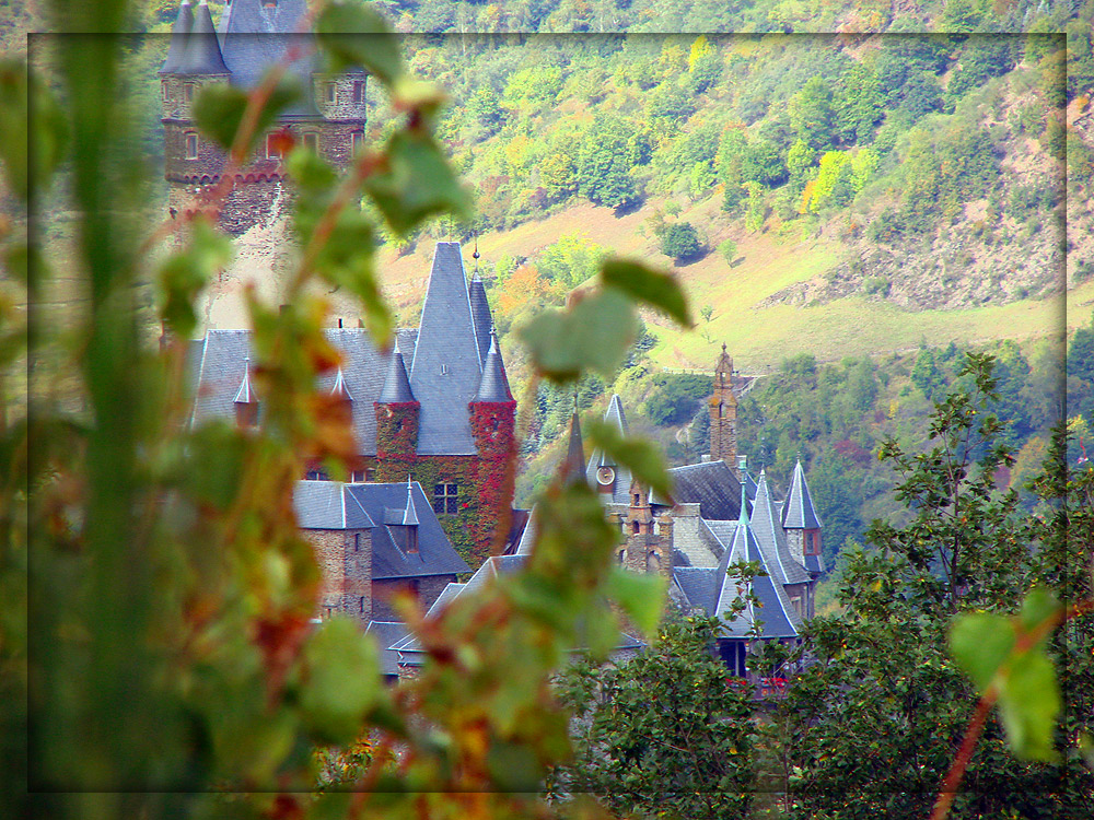 So stell ich mir Dornröschens Schloss vor