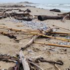 So, Strand für die touris vorbereitet 