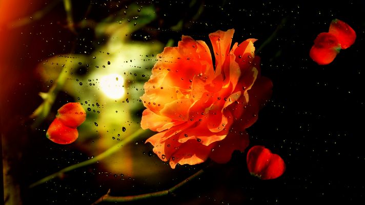 ... so the summer passed