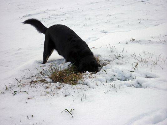 so tief bin ich doch noch nie runter