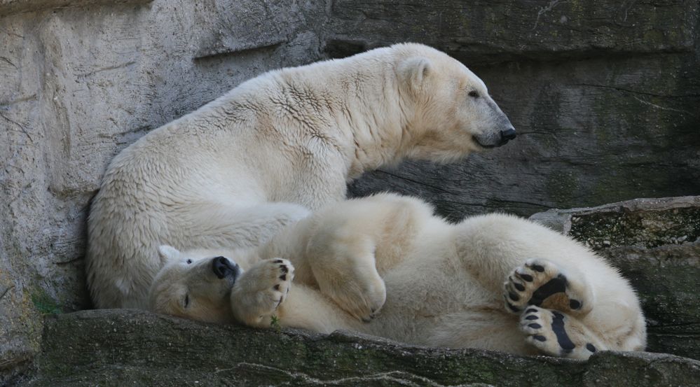 so, und nu´?: ......chillen......