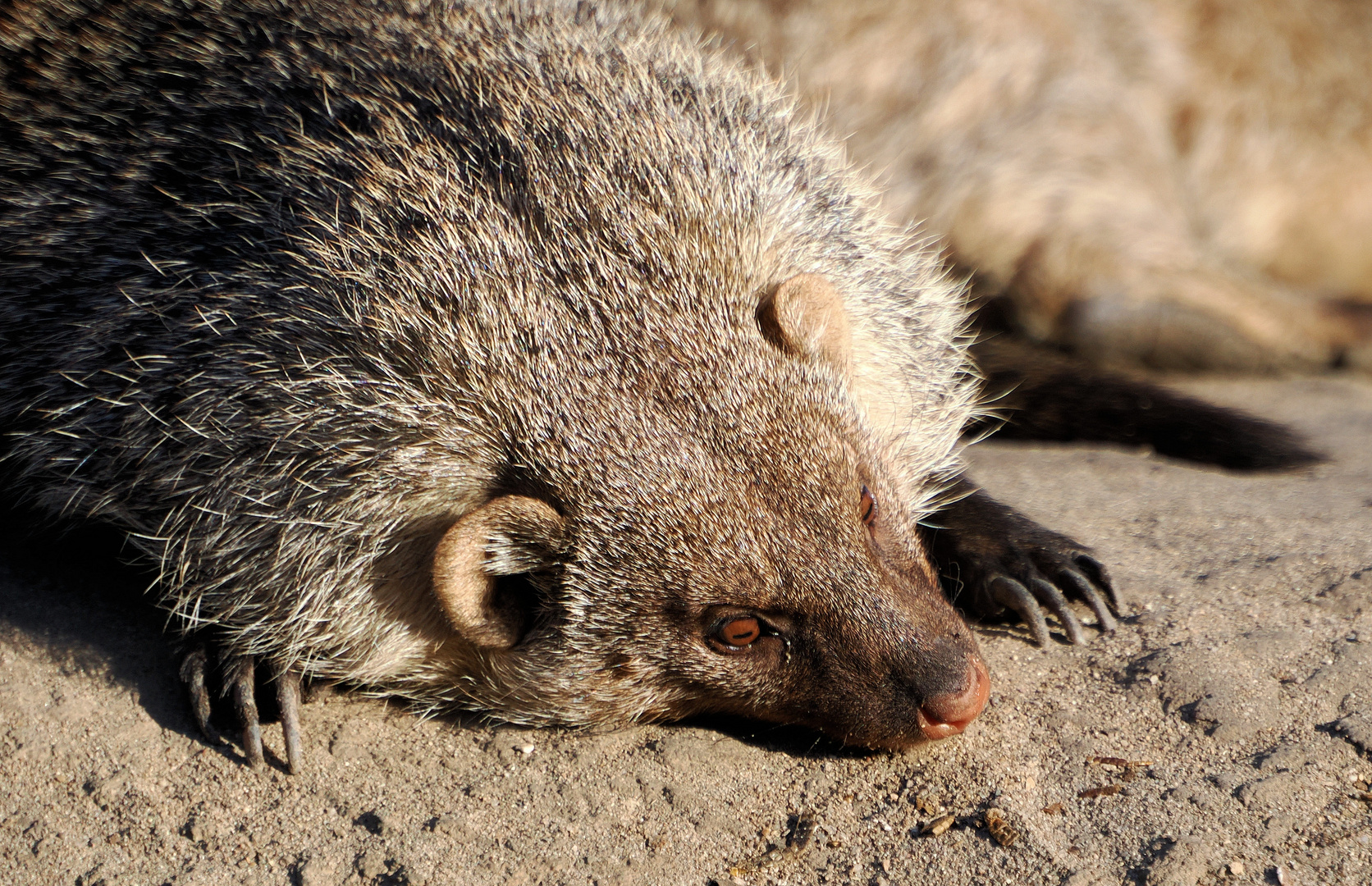 So Urlaub vorbei..jetzt habe ich Jetlag…