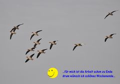 ..so verfliegt die Zeit..