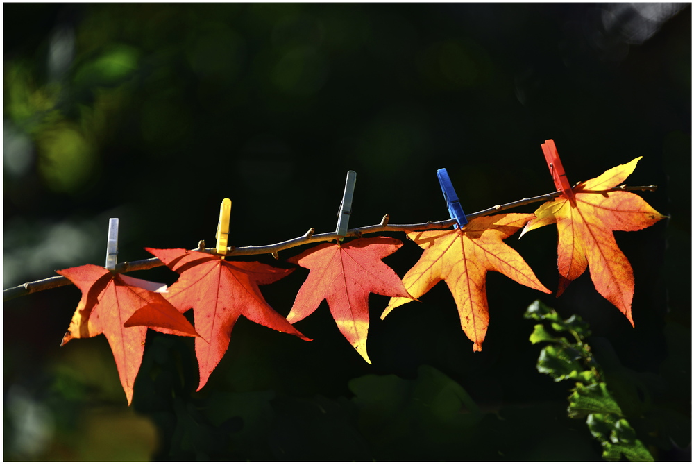 SO VERLÄNGERN WIR IM NORDEN DEN GOLDENEN OKTOBER