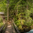 So versteckt, tief im Wald, die Ranftlmühle