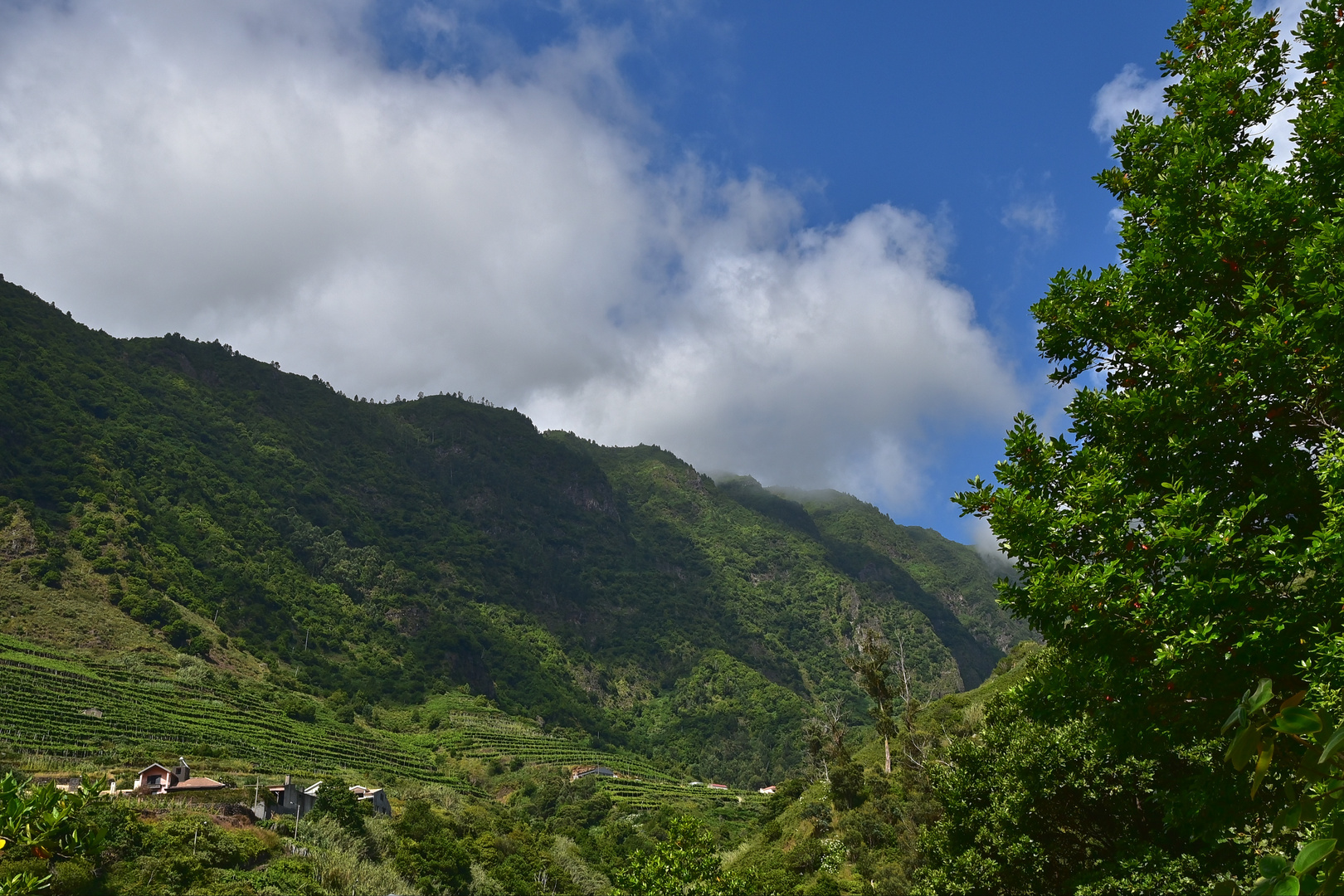 São Vicente / Madeira