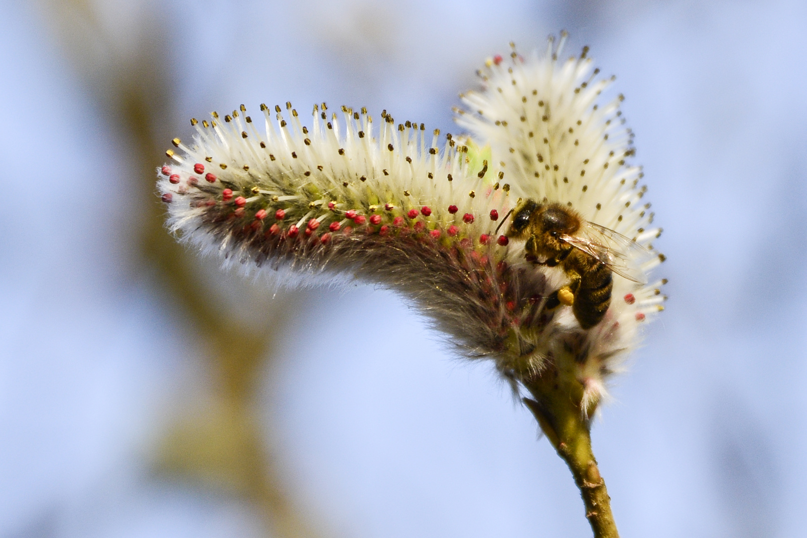 so viel Frühling