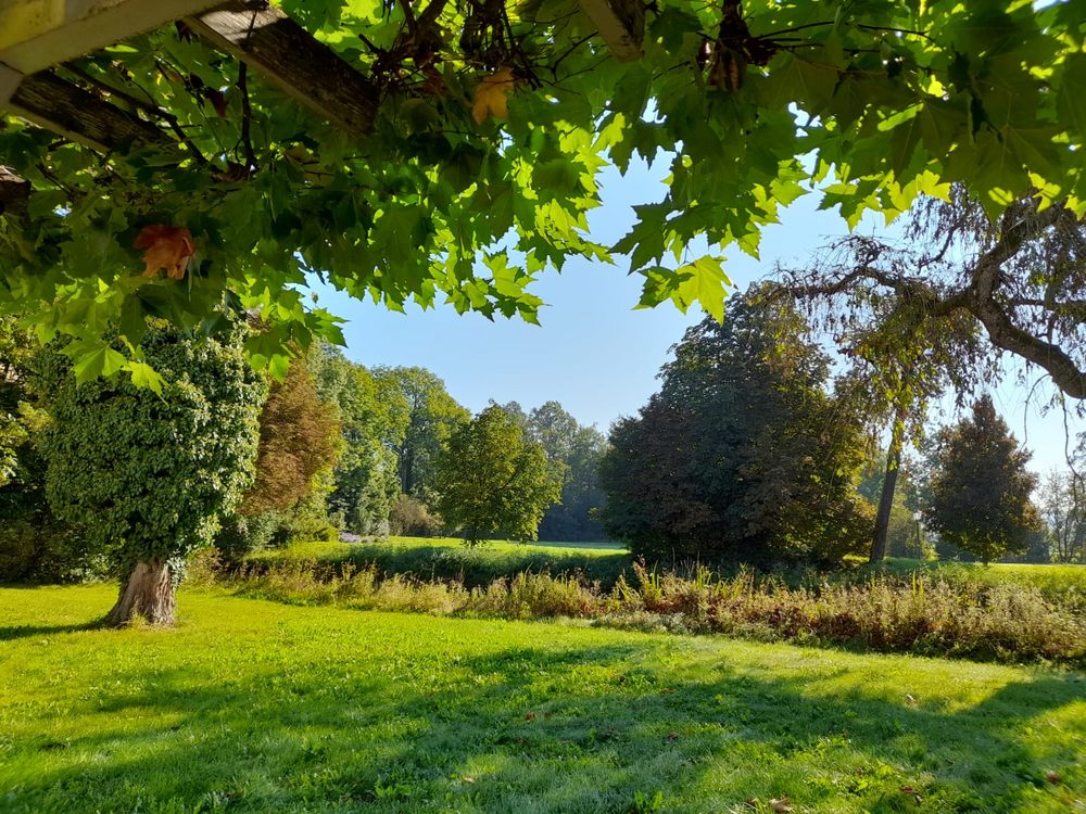 so viel GRÜN Foto & Bild landschaft, garten & parklandschaften