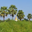 ...so viel Grün - aber dieses Mal in Myanmar...