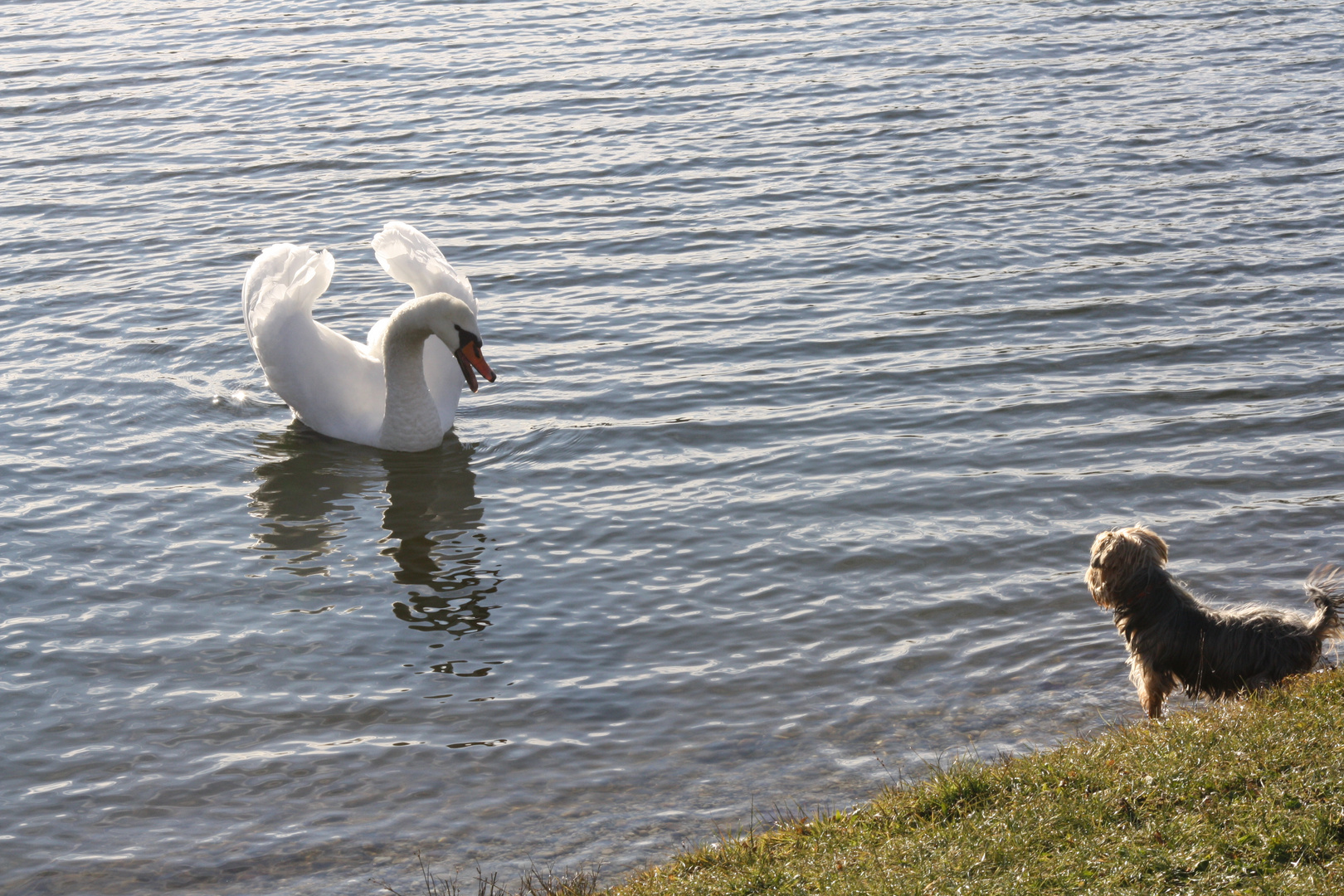 So viel Wasser