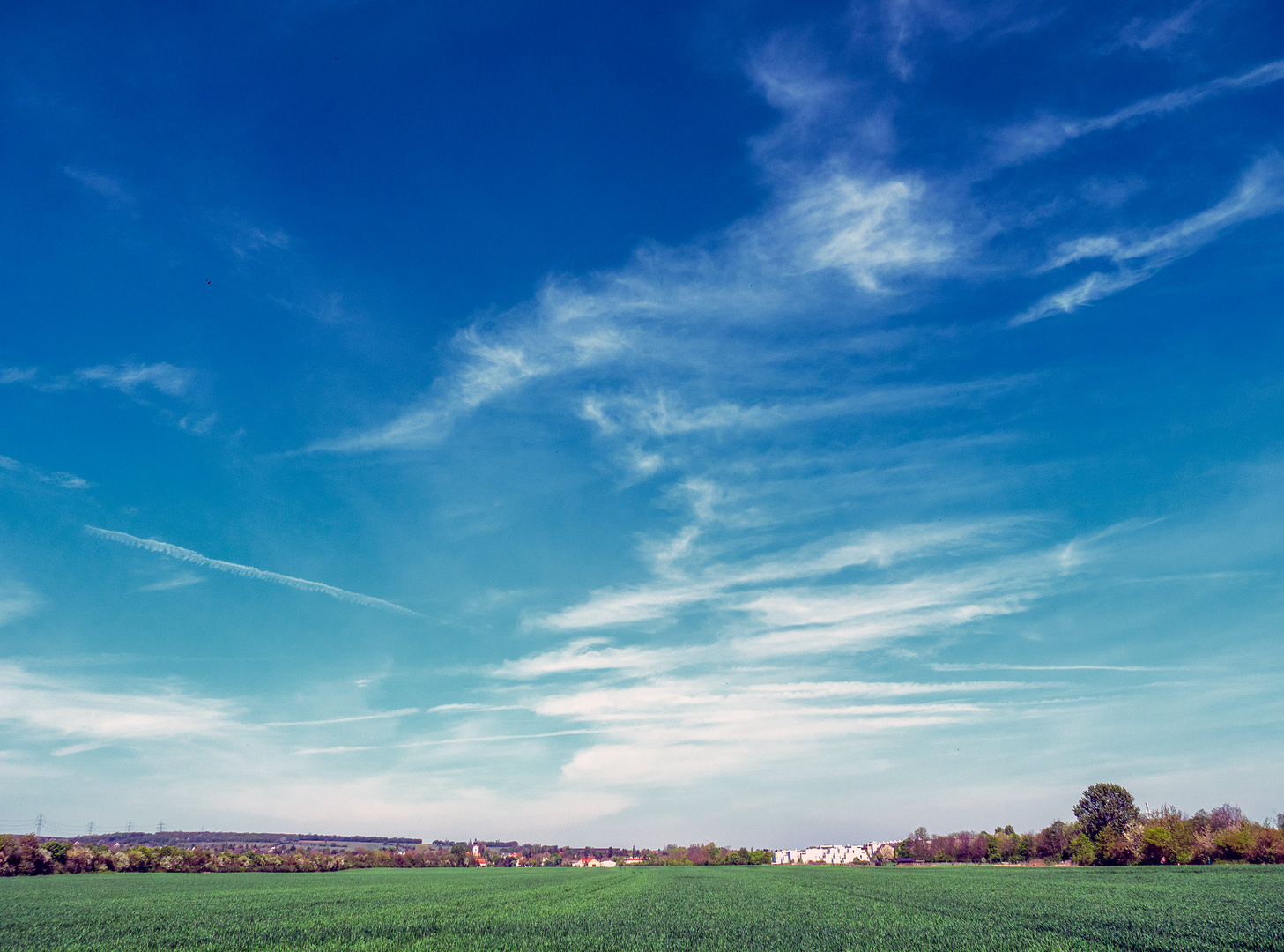 so viele blau...