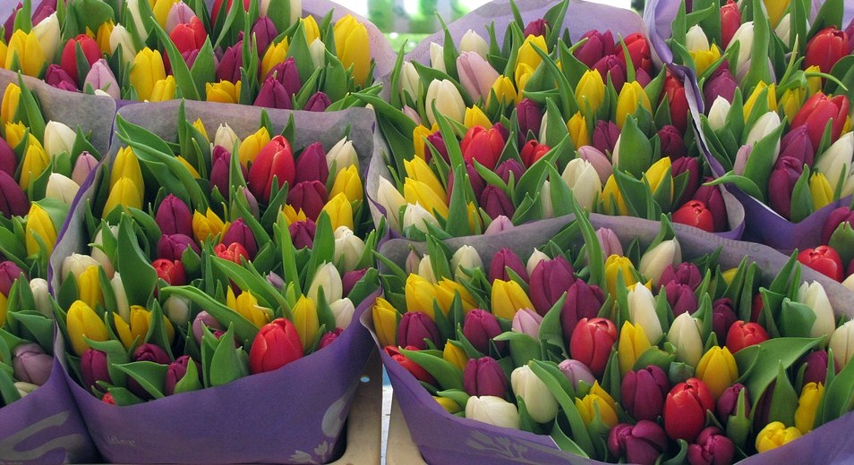 So viele bunte Tulpen, auf dem Markt !