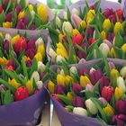 So viele bunte Tulpen, auf dem Markt !