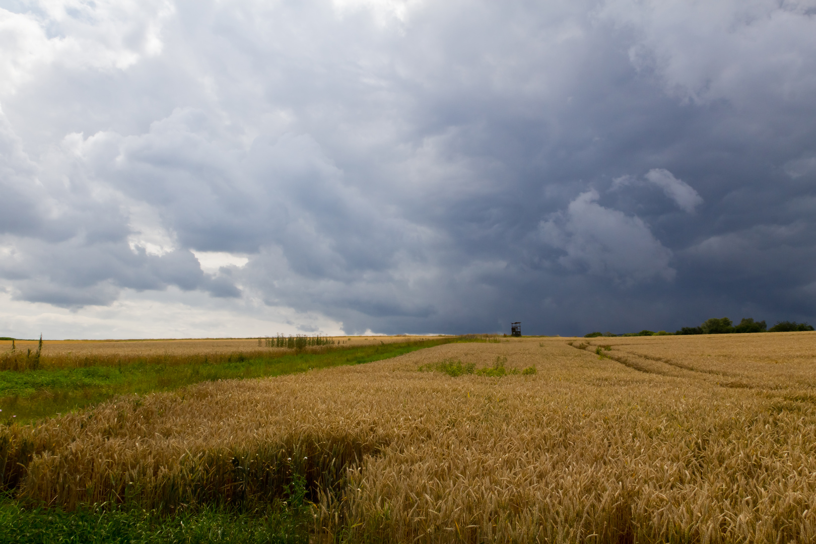 So viele dunkle Wolken....