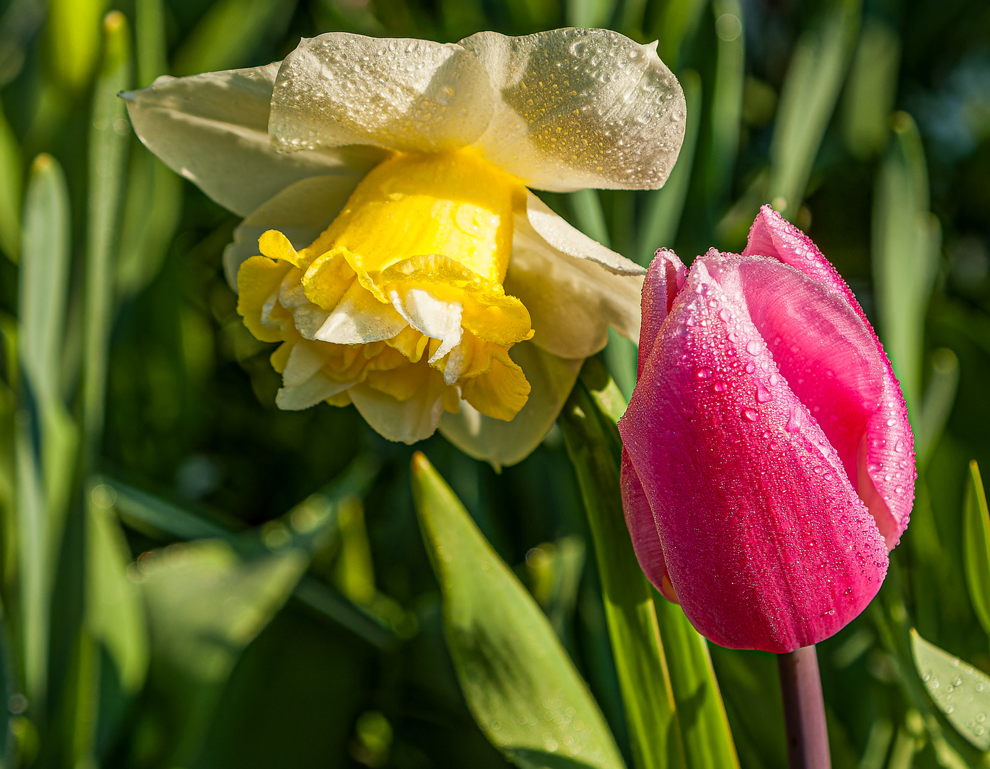 So war der Frühling