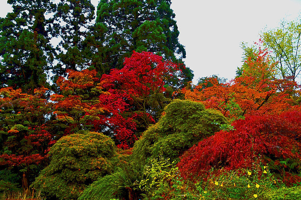 so war der Herbst 2