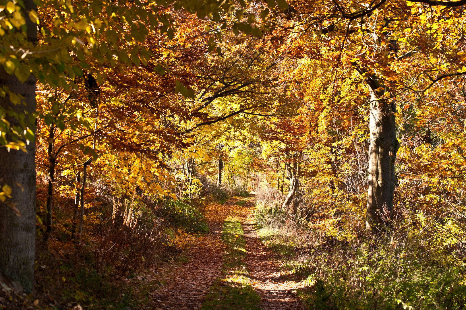 So war der Herbst 2015