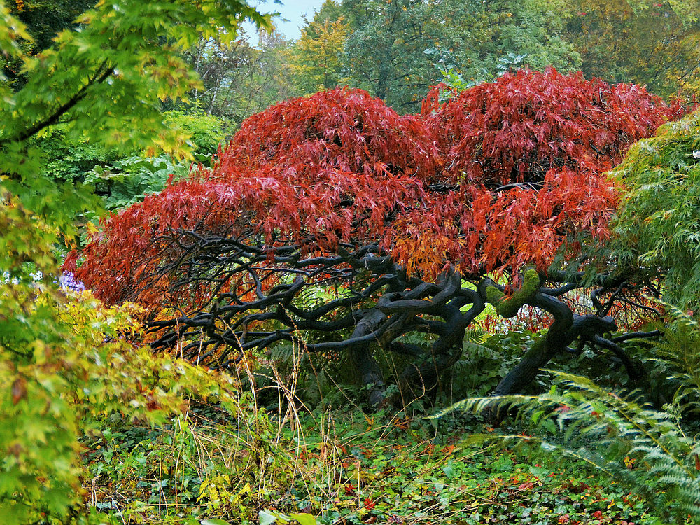 so war der Herbst