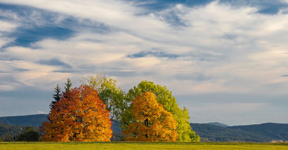 So war der Herbst