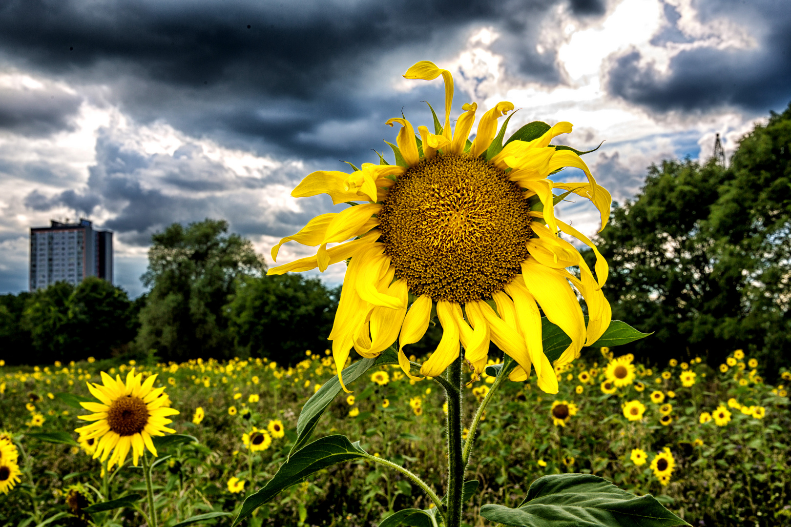 so war der Sommer...