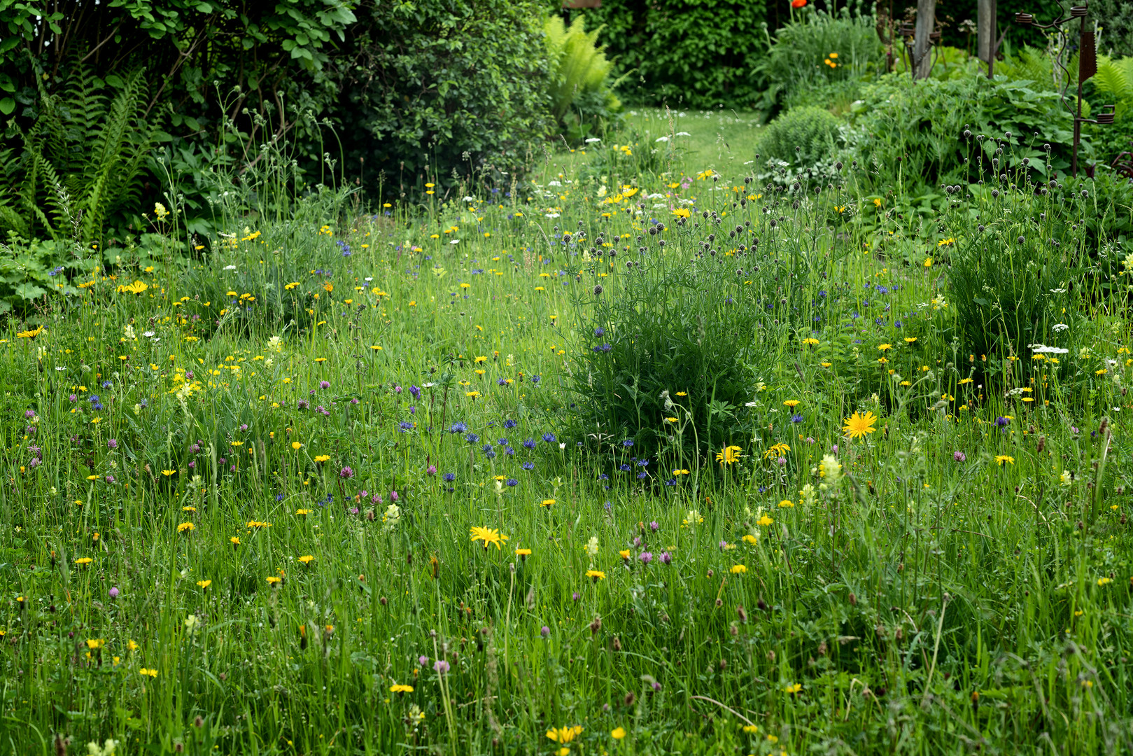 So war mein Frühling # 10