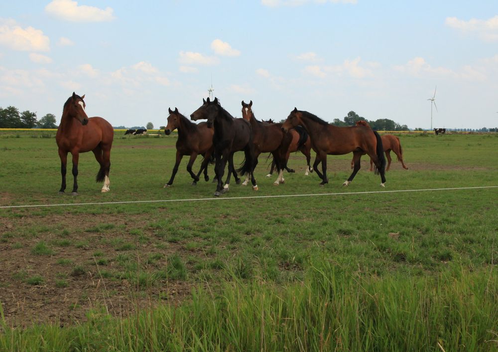 So weite Landschaften, ein guter Start vor dem Sport