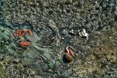 So what remains......?