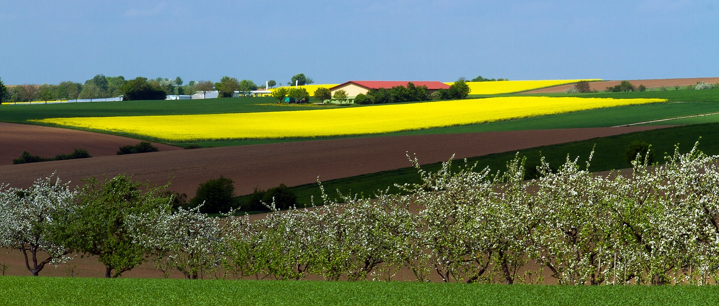 So wie ich ihn mag- den Frühling