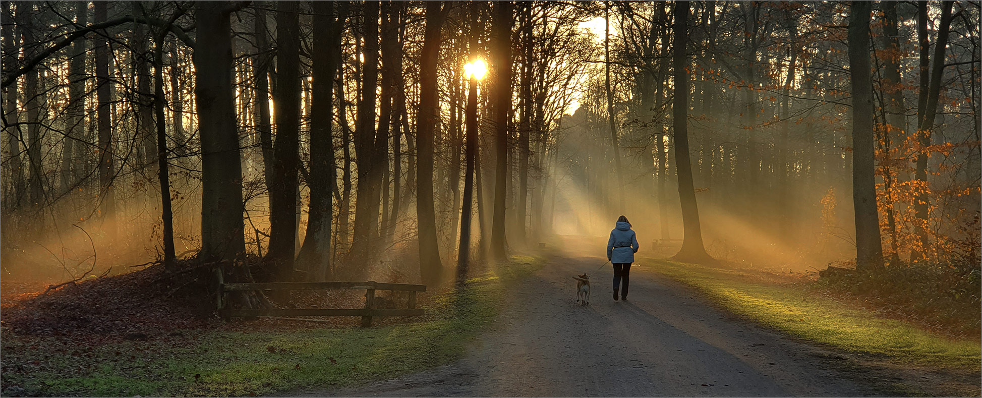 So wird der morgendliche Weg    . . .