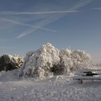 So wünsche ich mir den Winter