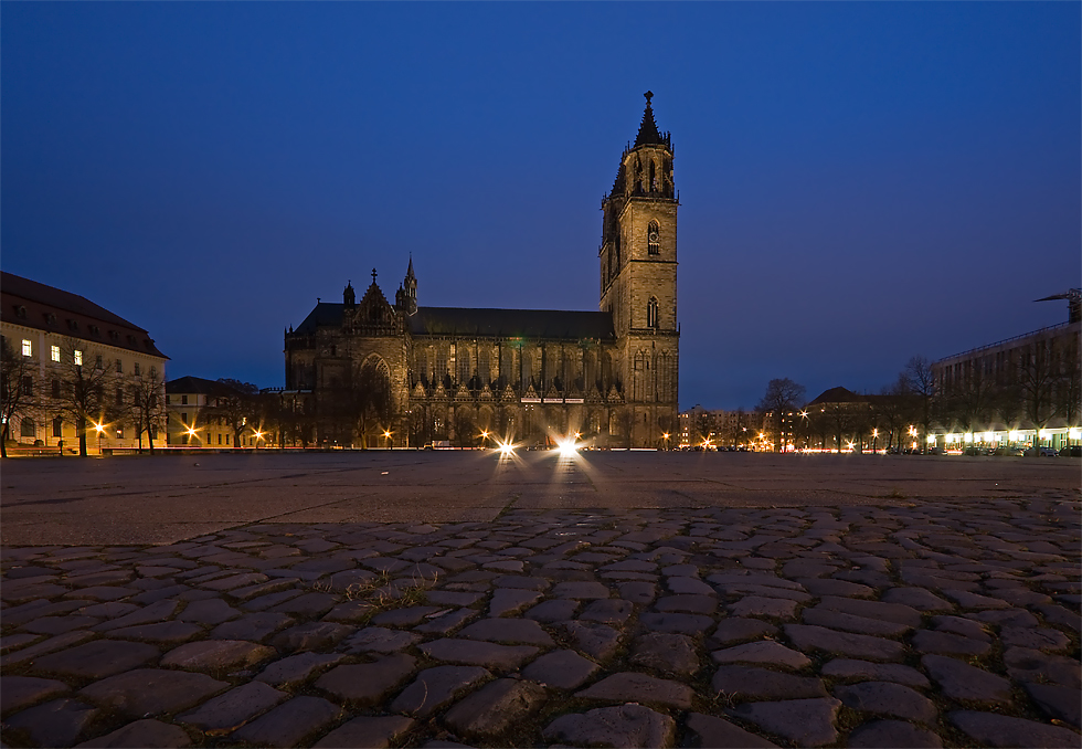 So würde ein Käfer den Magdeburger Dom sehen...