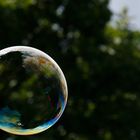 soap bubble