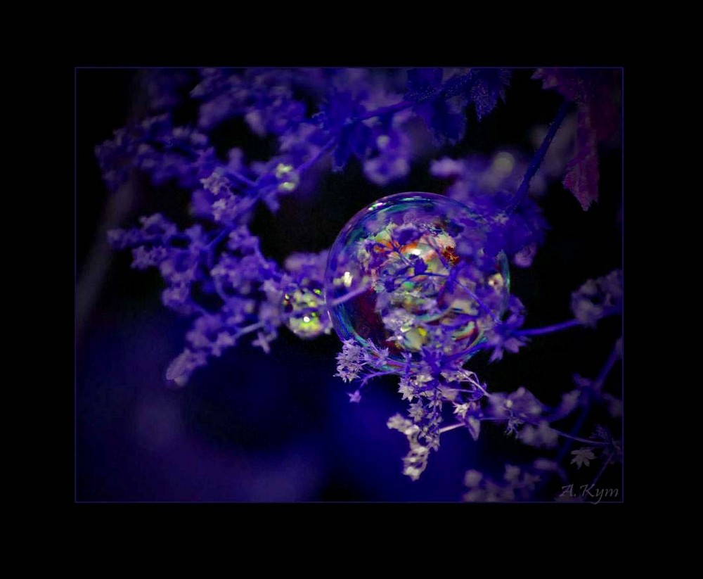 soap bubble fantasy