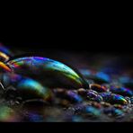 soap bubbles