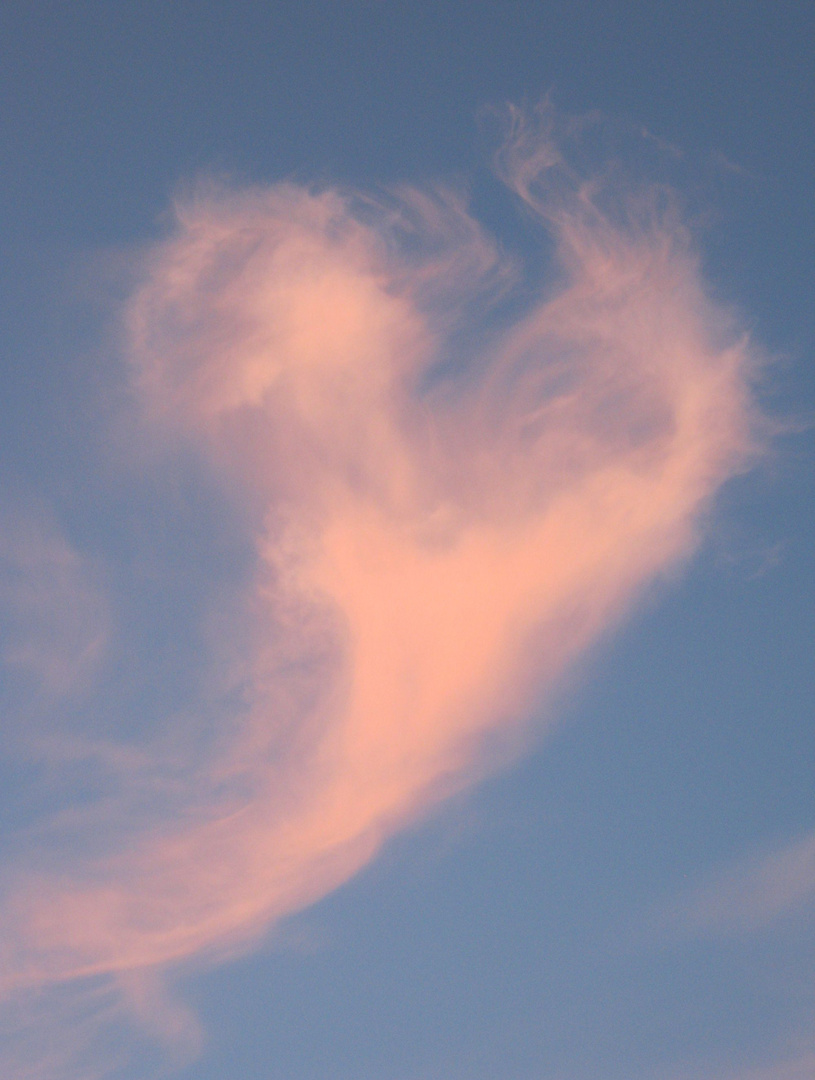 soaring heart