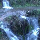 sobradelo A castañeira