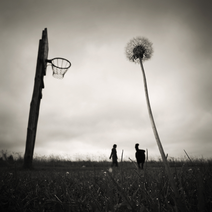 sobre el baloncesto y otros miedos