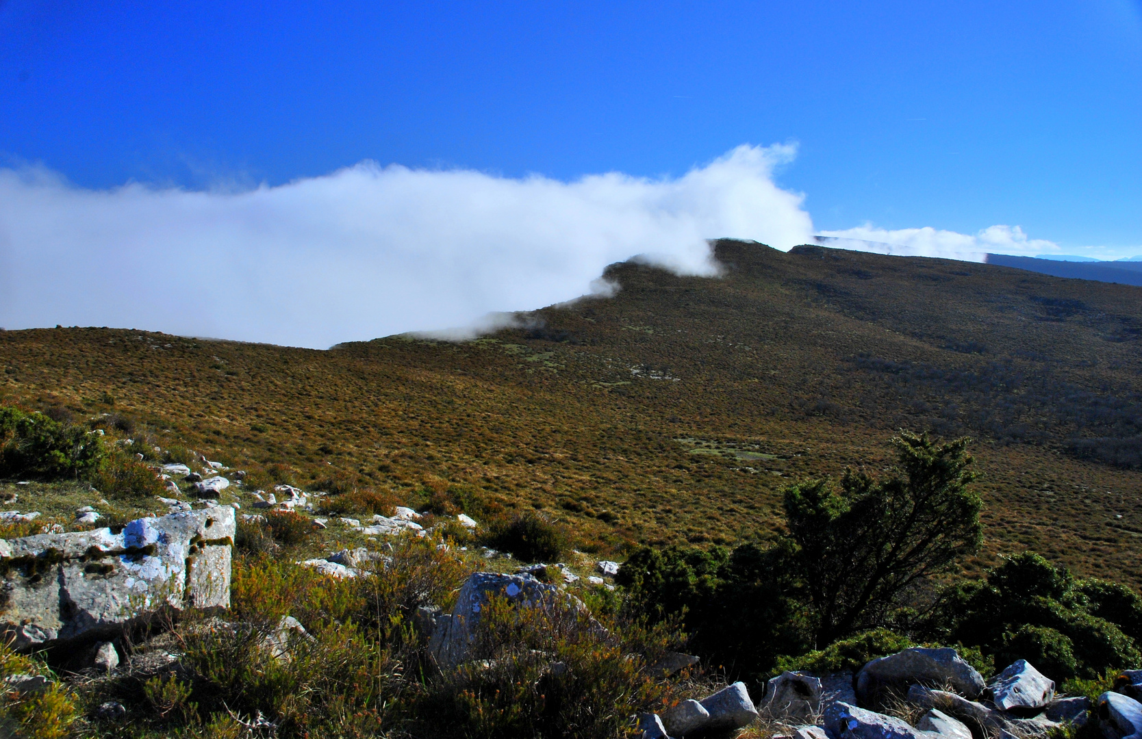 Sobre la niebla